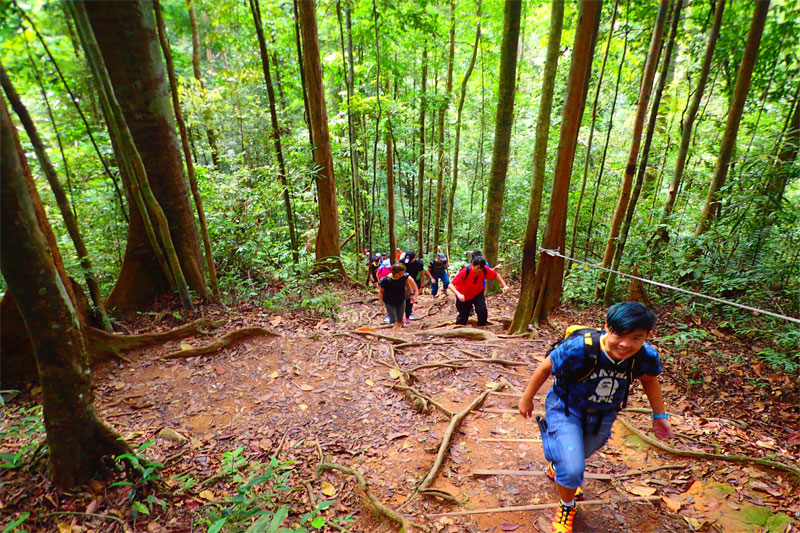 Trekking in Malaysia