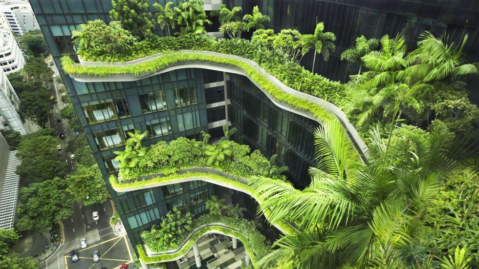 Singapore greenery