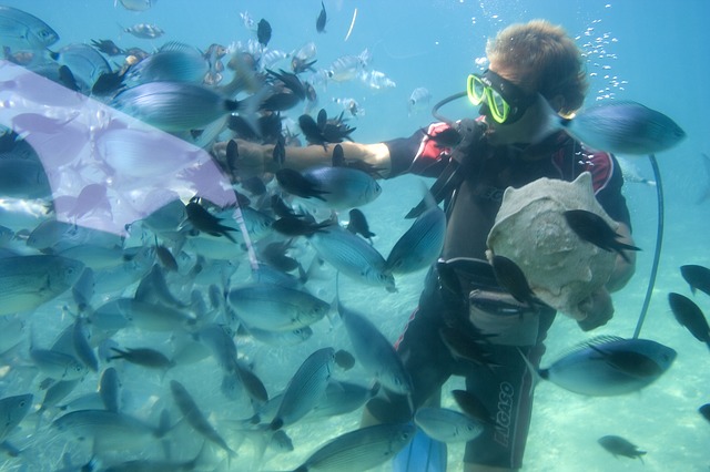 Water Sports in Mauritius