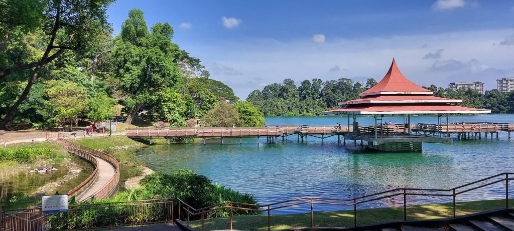 MacRitchie Reservoir