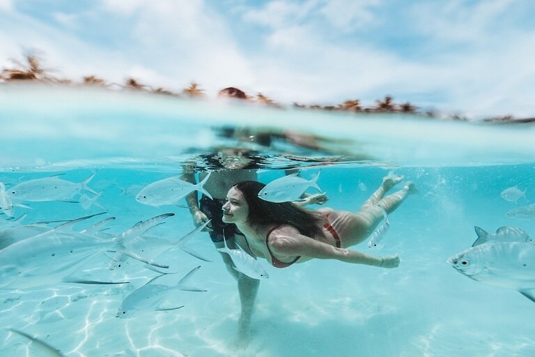 Coral Wonderland in Maldives