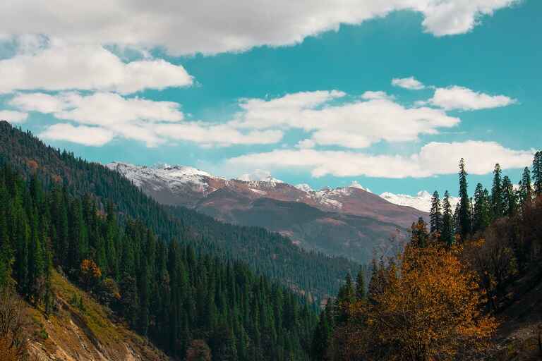 How Much Does a Manali Trip Cost?