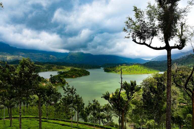 Munnar hill station