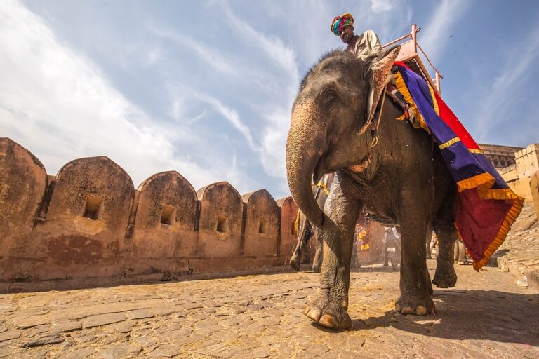 Elephant Ride at Amer Fort