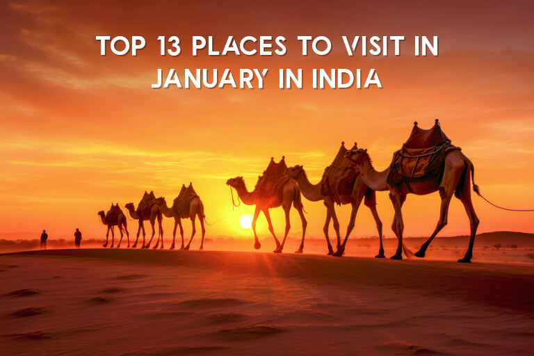 Explore Best Places to Visit In January In India In 2025