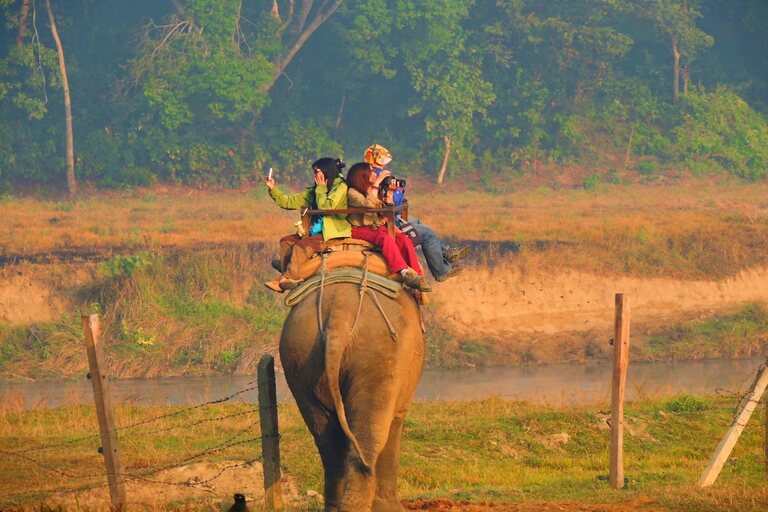 Elephant Safari at Kaziranga