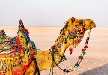 Rann of Kutch