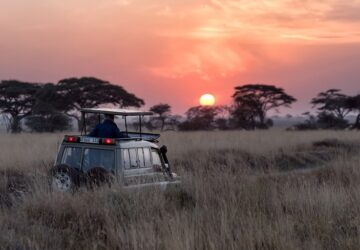 Serengeti National Park safari