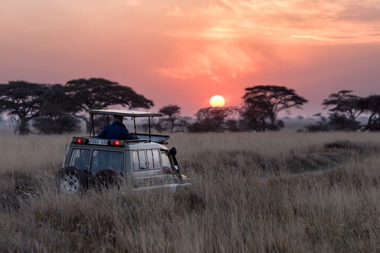 The Serengeti National Park: Explore Africa's Wild Beauty!