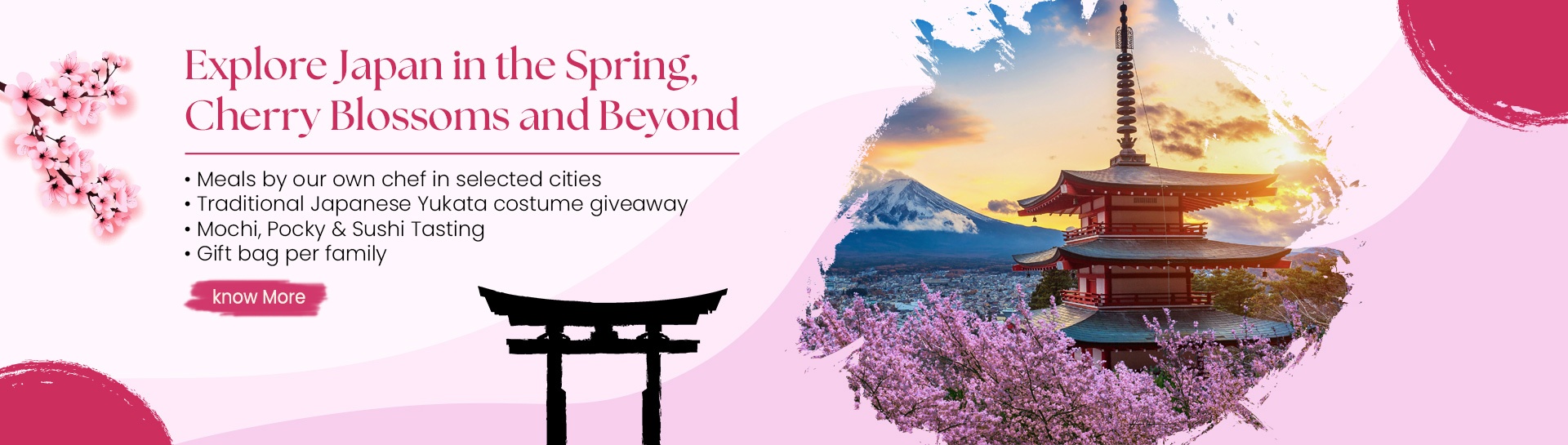 Explore Japan in the Spring, Cherry Blossoms and Beyond